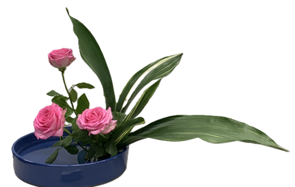 Marcia Slanting Moribana
